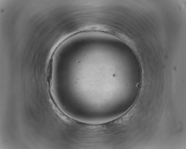 X0000067900816200604201333