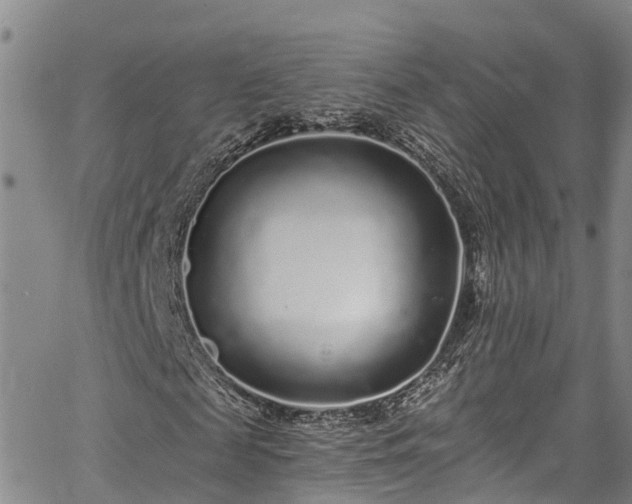 X0000067900817200604201332