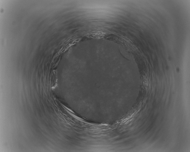 X0000067900818200604201332