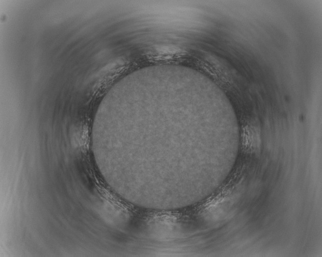 X0000067900820200604201332