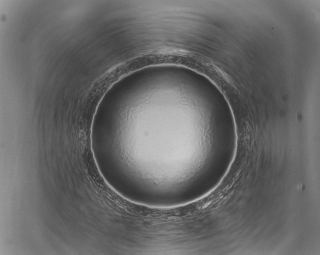 X0000067900821200604201332