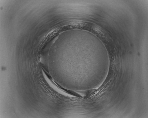 X0000067900822200604201332