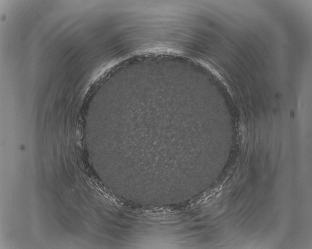 X0000067900823200604201332