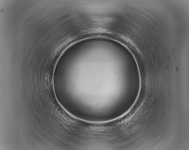 X0000067900825200604201332