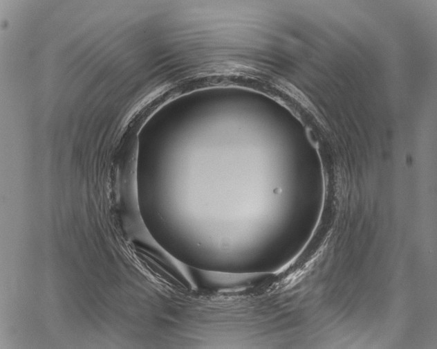 X0000067900826200604201332