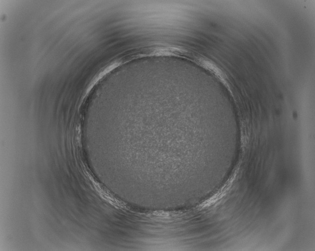 X0000067900827200604201332