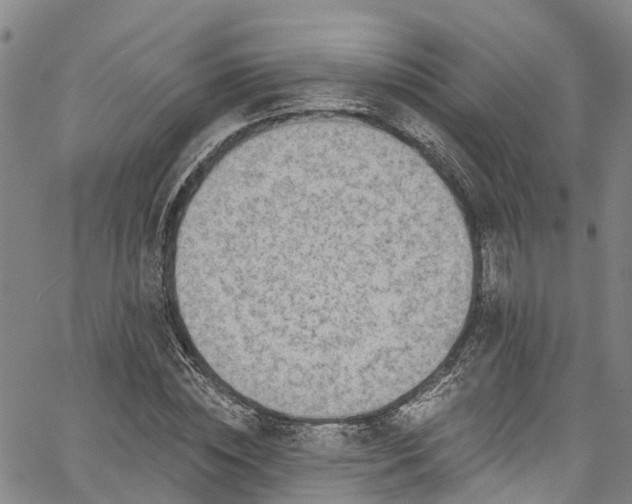 X0000067900828200604201332