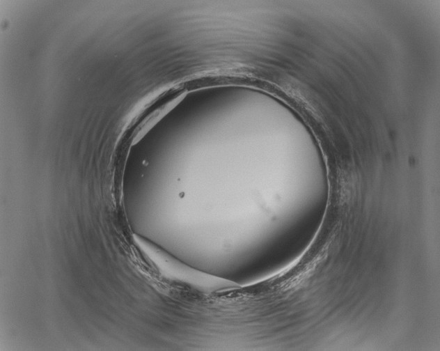 X0000067900830200604201332