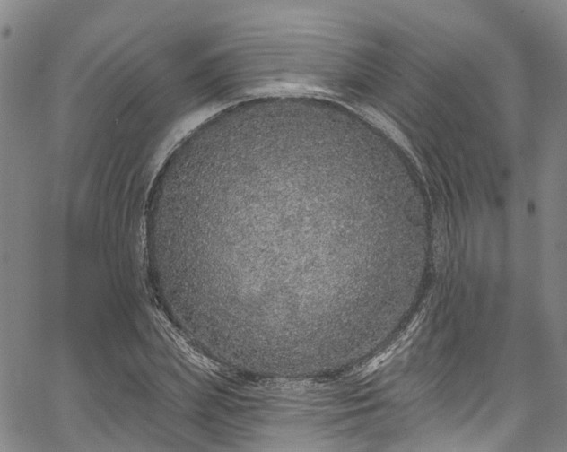 X0000067900831200604201332