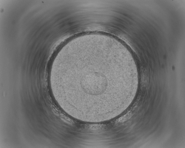 X0000067900832200604201332