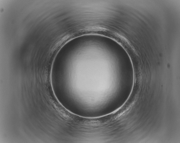 X0000067900833200604201332