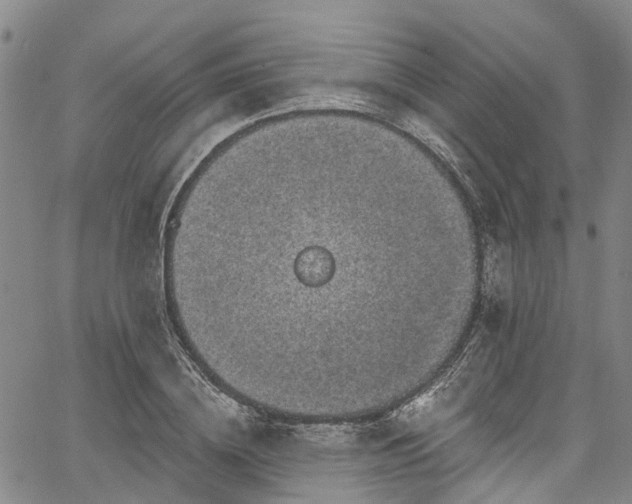 X0000067900836200604201333