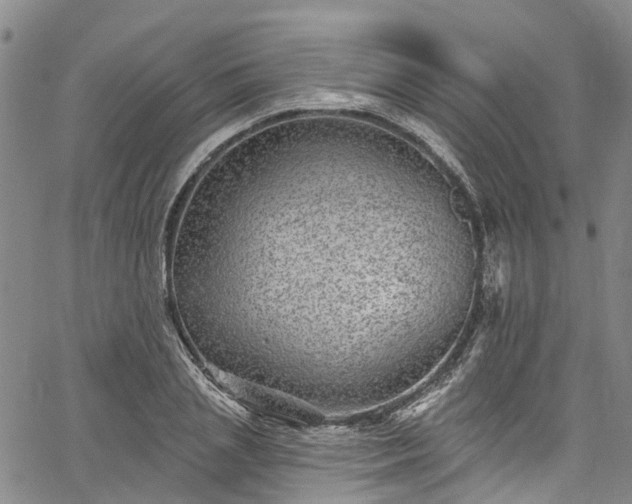 X0000067900837200604201333