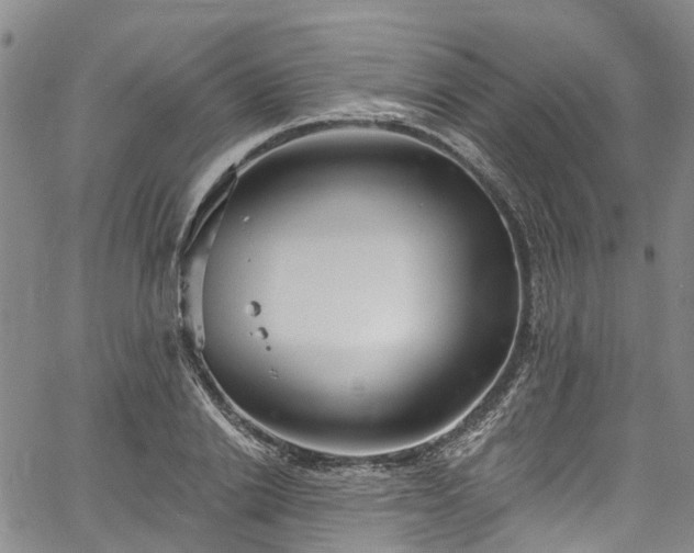 X0000067900838200604201333