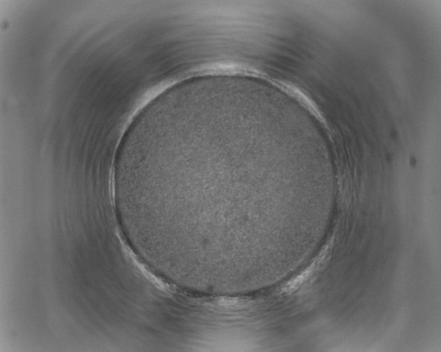 X0000067900839200604201333