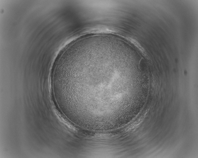 X0000067900840200604201333