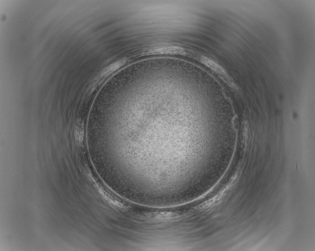 X0000067900841200604201333