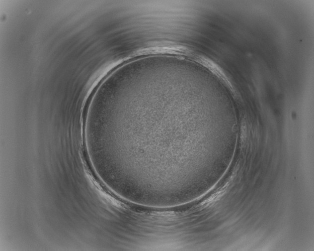 X0000067900844200604201333