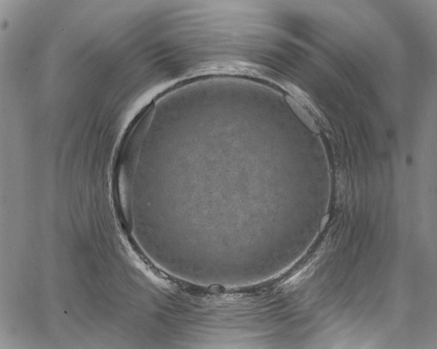 X0000067900846200604201333