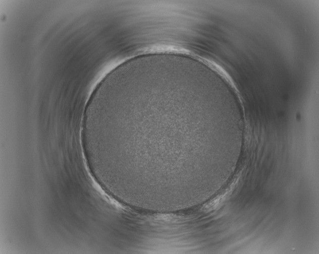 X0000067900847200604201333