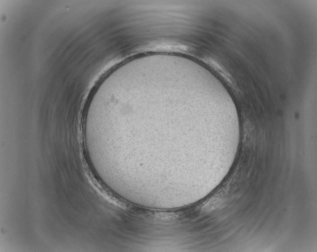 X0000067900848200604201333