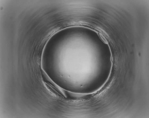 X0000067900849200604201333