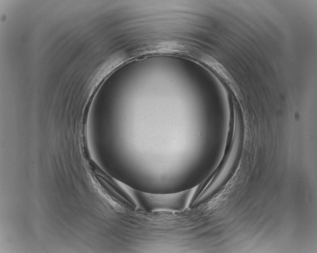 X0000067900850200604201333