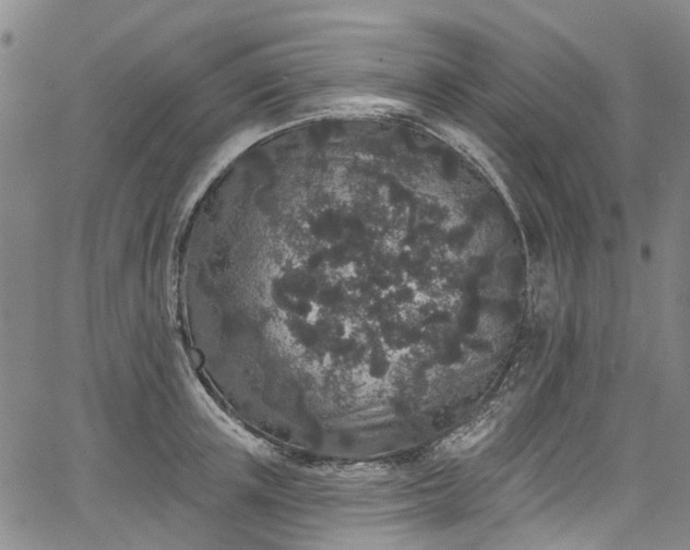 X0000067900851200604201333