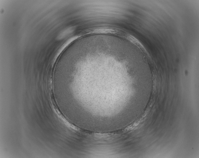 X0000067900852200604201333