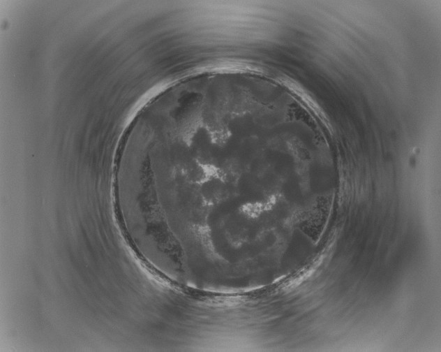 X0000067900853200604201333