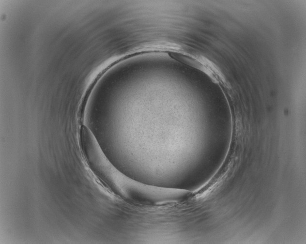 X0000067900854200604201333