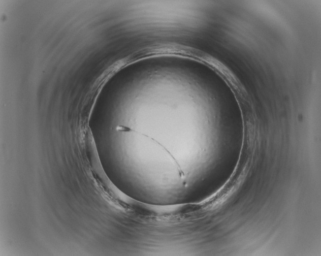 X0000067900857200604201333