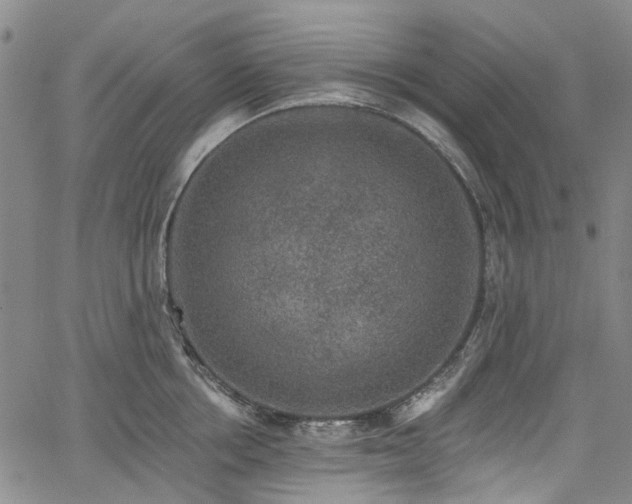 X0000067900858200604201333