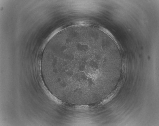 X0000067900859200604201333