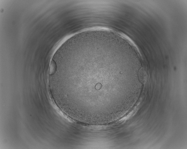 X0000067900860200604201333