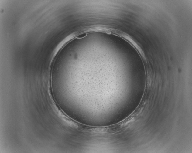 X0000067900861200604201333