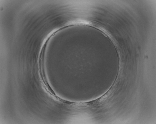 X0000067900864200604201333