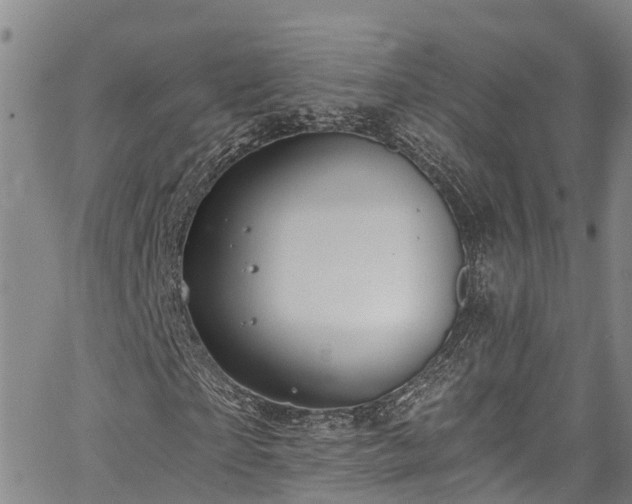 X0000067900865200604201332