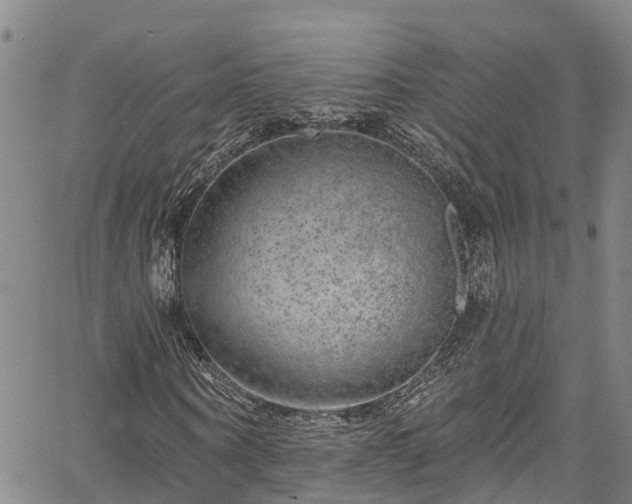 X0000067900866200604201332