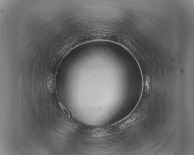 X0000067900867200604201332