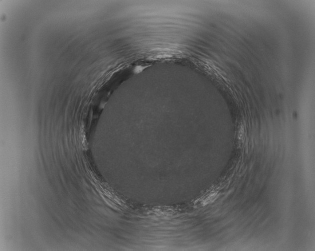 X0000067900868200604201332