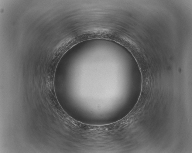 X0000067900869200604201332