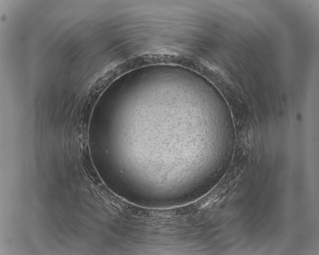 X0000067900870200604201332