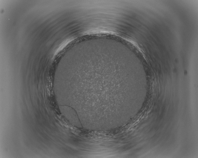 X0000067900871200604201332