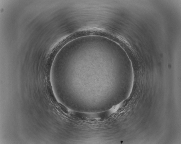 X0000067900872200604201332