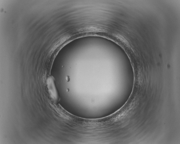 X0000067900873200604201332