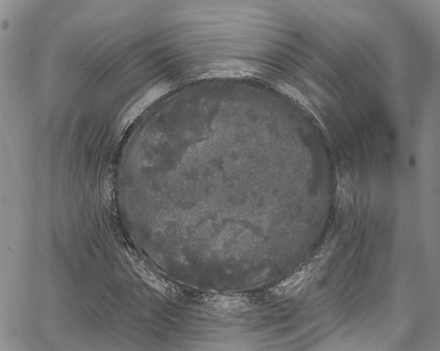 X0000067900874200604201332