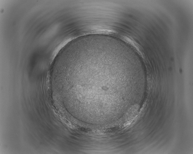 X0000067900875200604201332