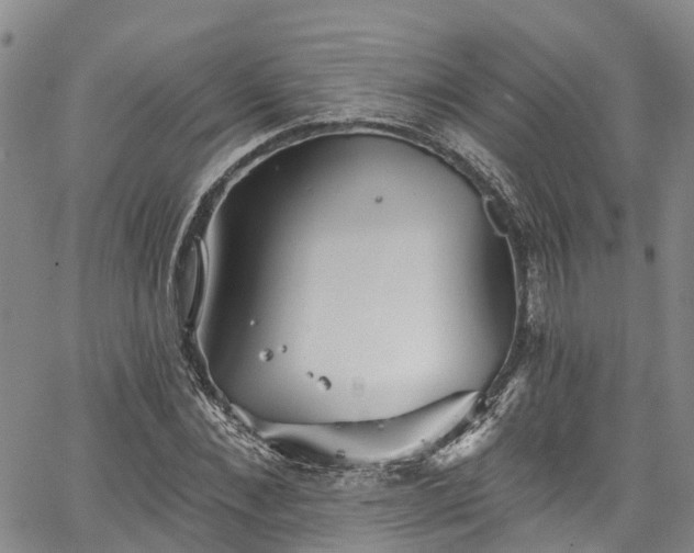 X0000067900876200604201332