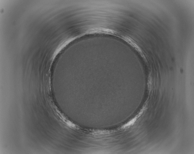 X0000067900877200604201332